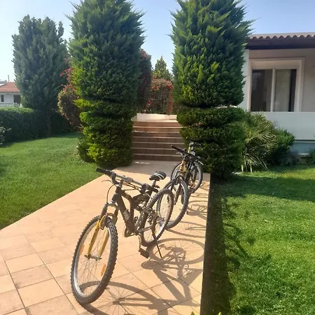 Beautiful Summer In Chalkoutsi Villa Khalkoutsion