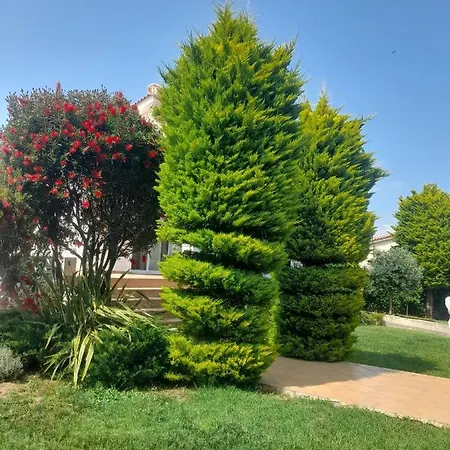 Beautiful Summer In Chalkoutsi *