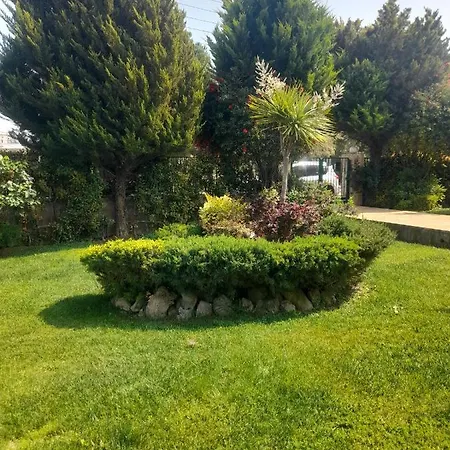 Beautiful Summer In Chalkoutsi *