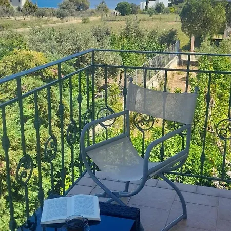Beautiful Summer In Chalkoutsi