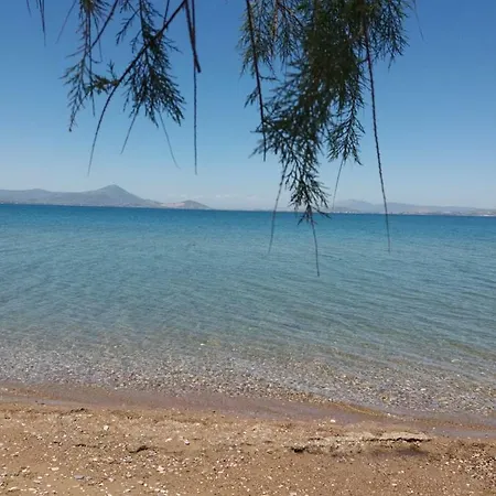 Villa Beautiful Summer In Chalkoutsi Khalkoutsion