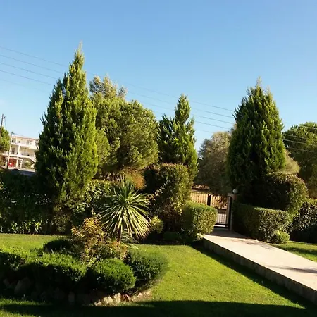 Beautiful Summer In Chalkoutsi Villa