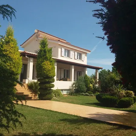 Beautiful Summer In Chalkoutsi Villa Khalkoutsion
