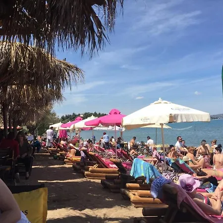 Beautiful Summer In Chalkoutsi *