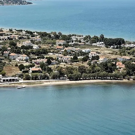 Villa Beautiful Summer In Chalkoutsi *