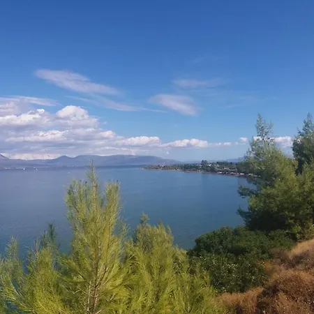 Villa Beautiful Summer In Chalkoutsi *