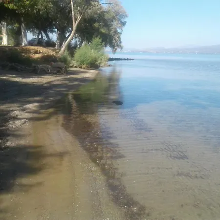 Beautiful Summer In Chalkoutsi Villa Khalkoutsion