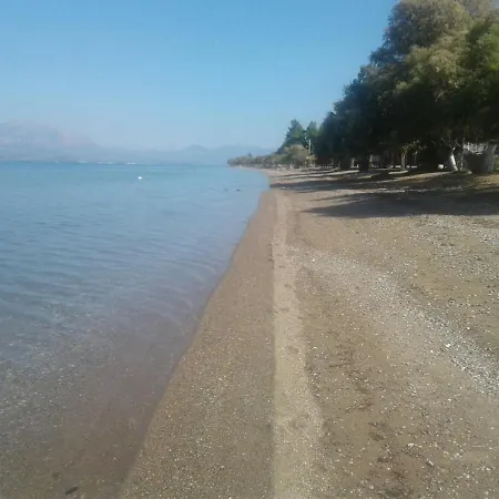 Beautiful Summer In Chalkoutsi Villa *